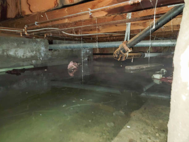 24/7 water damage repair in Hays, MT