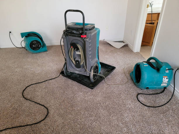 Best Flood restoration services  in Hays, MT