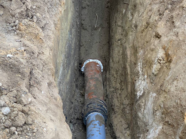 Best Basement water damage restoration  in Hays, MT