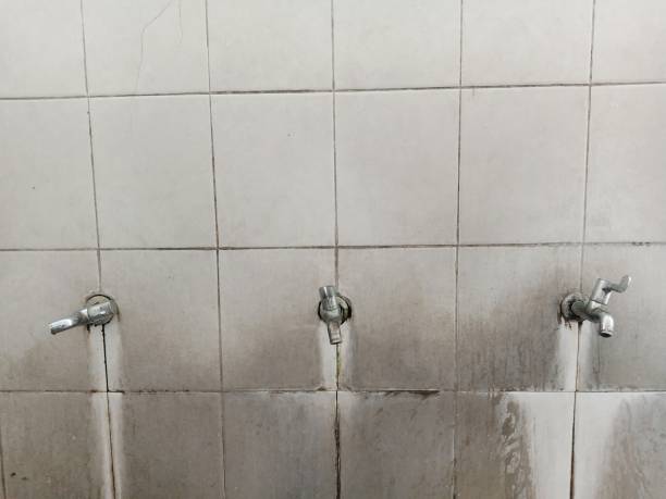 Best Emergency water damage restoration  in Hays, MT