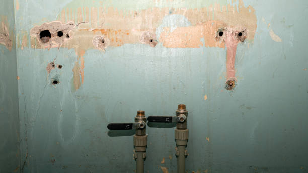 Best Water damage restoration mold remediation  in Hays, MT