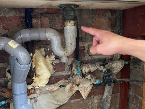 Water damage restoration mold remediation in Hays, MT