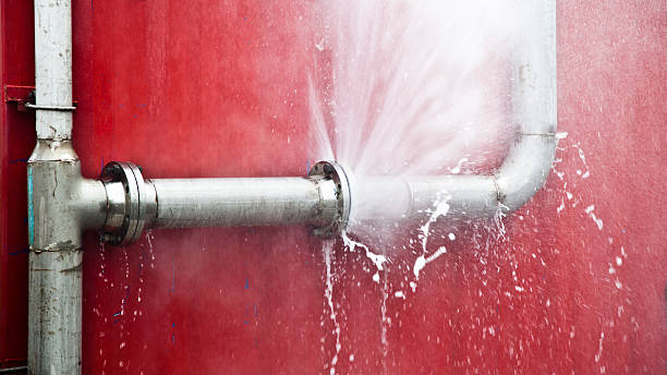 Best Water damage restoration services  in Hays, MT